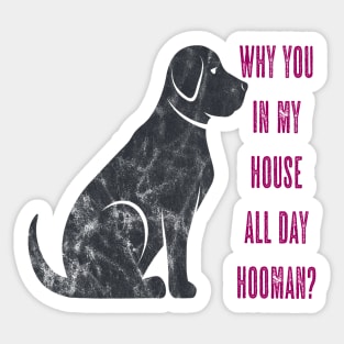 Hey Hooman Sticker